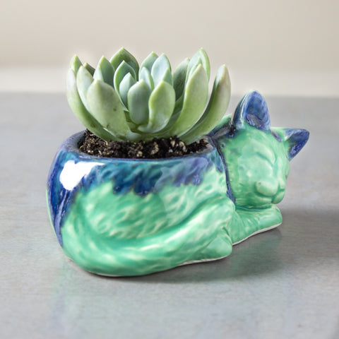 Kitty planter, succulent cactus handmade  ceramic pottery planter