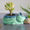 Kitty planter, succulent cactus handmade ceramic pottery planter Kitty planter, succulent cactus handmade ceramic pottery planter