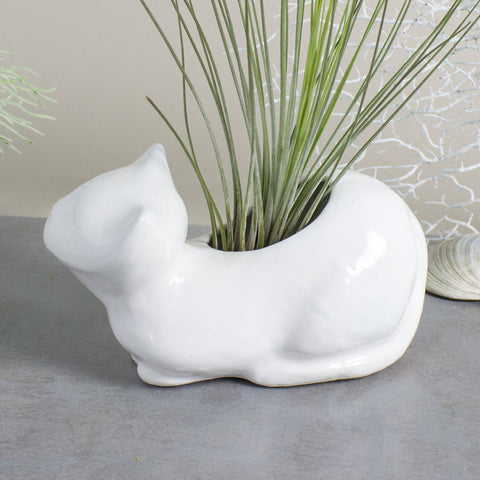 Ceramic White Cat Planter