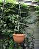 Large Hanging planter terracotta unglazed modern Urban Garden gardening Bowl Large Hanging planter terracotta unglazed modern Urban Garden gardening Bowl