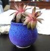 Ceramic Planter succulent planter Garden decor Velvet Purple Ceramic Planter succulent planter Garden decor Velvet Purple