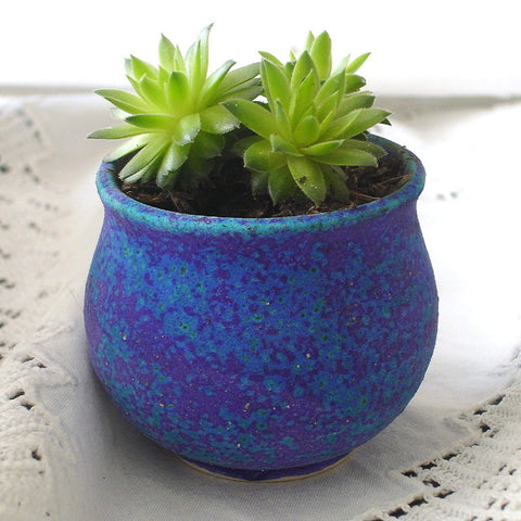 Ceramic Planter succulent planter Garden decor Velvet Purple