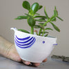 Bird Planter - White with Blue Highlights