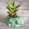 Lucky rabbit ceramic planter in mint green