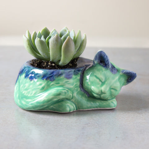 Kitty planter, succulent cactus handmade  ceramic pottery planter