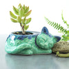 Kitty planter, succulent cactus handmade  ceramic pottery planter