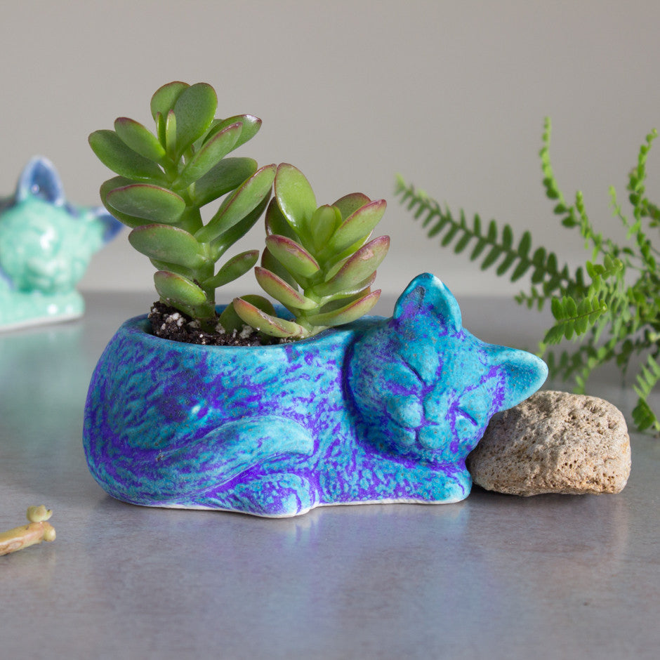 ceramic succulent pot Kitty planter, ceramic succulent planter, handmade pottery planter Velvet Purple
