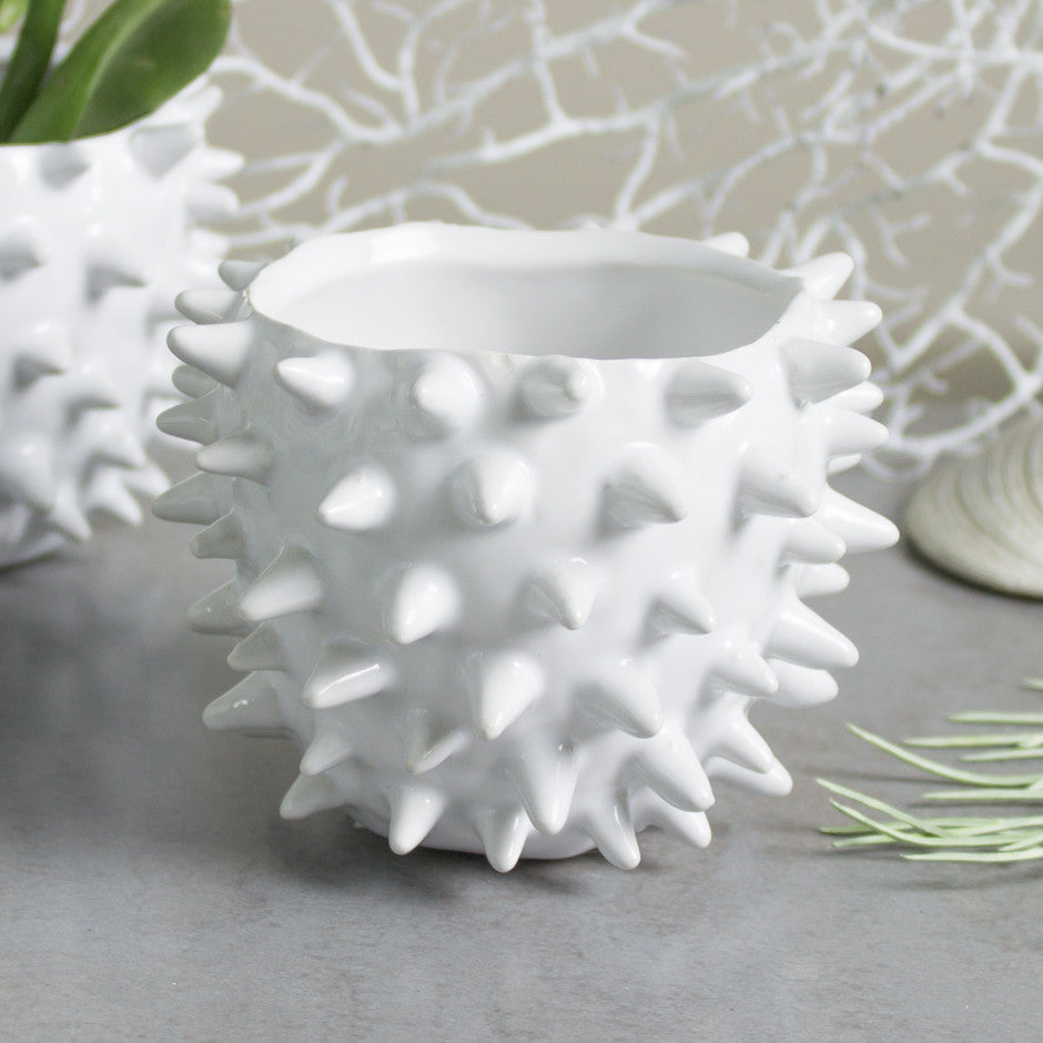 Mini Planter White Spiky Urchin Bowl Ceramic Modern Minimalist Pottery  Ceramic Succulent Planter by BlueRoomPottery