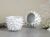 Mini Planter White Spiky Urchin Bowl Ceramic Modern Minimalist Pottery Ceramic Succulent Planter