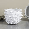 Mini Planter White Spiky Urchin Bowl Ceramic Modern Minimalist Pottery Ceramic Succulent Planter