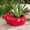 Ruby Red Kitty planter