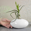 White Ceramic Oval Vase, Choose Size