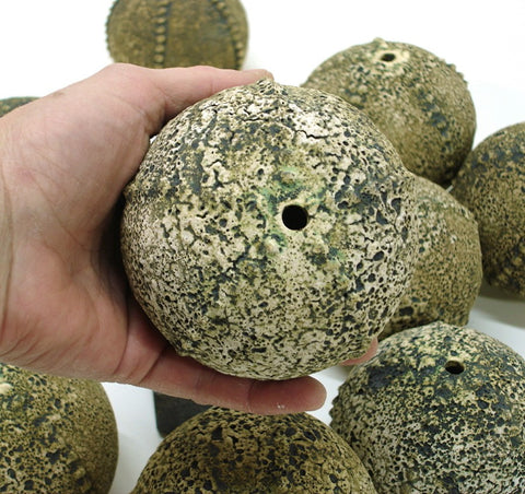 Wheel thrown Ceramic Textured  Sea Urchin - Choose Size