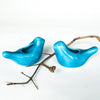 Love Birdies in turquoise