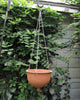 Large Hanging planter terracotta unglazed modern Urban Garden gardening Bowl