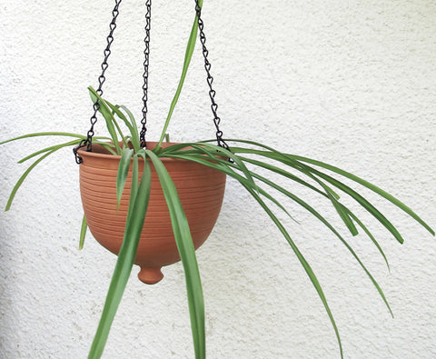 Large Hanging planter terracotta unglazed modern Urban Garden gardening Bowl