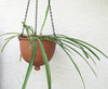 Large Hanging planter terracotta unglazed modern Urban Garden gardening Bowl