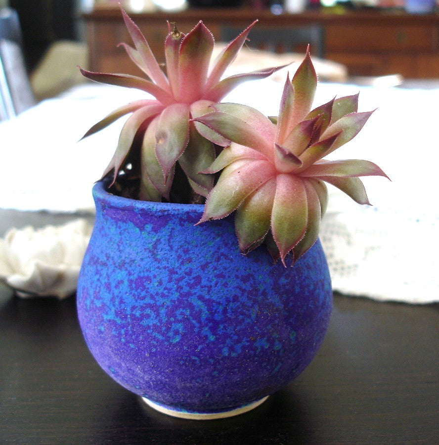outdoor planter pots ceramic Campania Alicante Planter, Set of 3 - 5039-18003